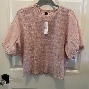 Pink puff sleeved, smocked top from J Crew. Ruffle hem and dotted, sheer sleeves